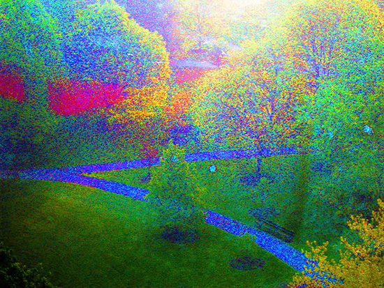 Photo of trees in a park manipulated to look like an Impressionist painting