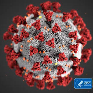 ACR Coronavirus Response