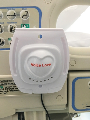 VoiceLove Device
