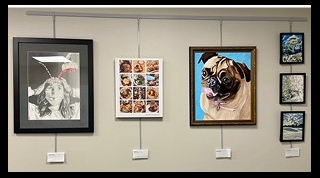 Visual Art, Dog, Vanderbilt Radiology Art Gallery