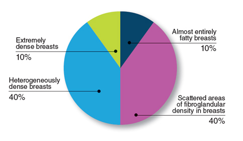 Pie chart showing various breast density percentages among American women