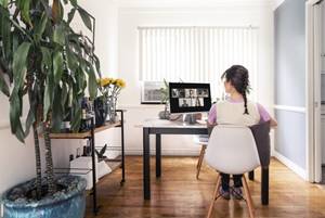 Photo of the back of women sitting at desk looking at computer