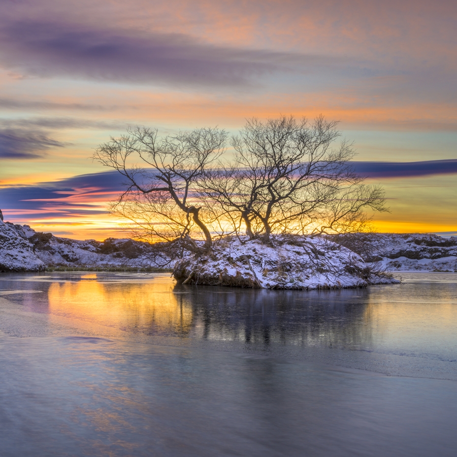Photo of bare trees on a small island covered in snow in Iceland by Christopher B. Merritt, MD, FACR