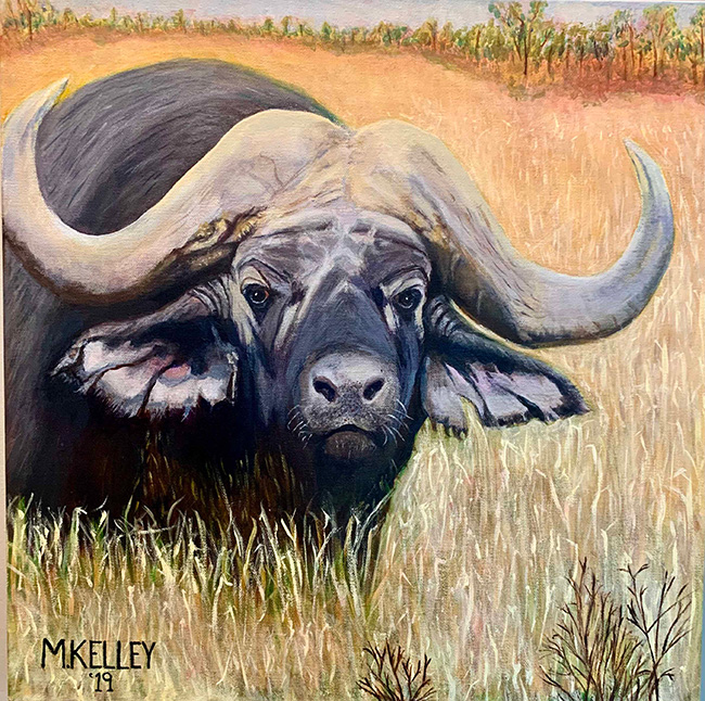 Acrylic painting on canvas of a Cape buffalo, by Michael J. Kelley, MD, FACR
